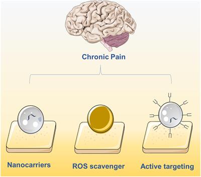 Nanotechnology in Chronic Pain Relief